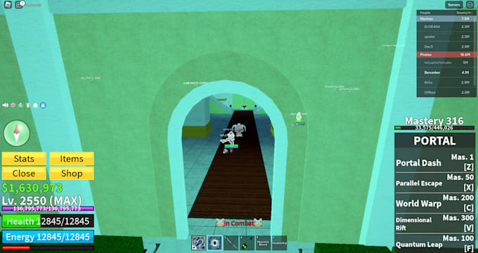 be your bloxfruits professional coach