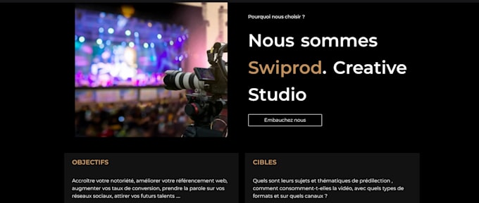 develop your professional website with wordpress
