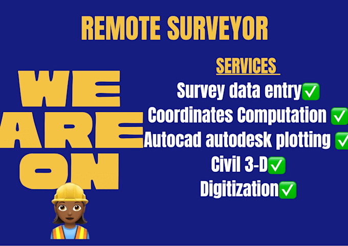 key in survey data in excel for you