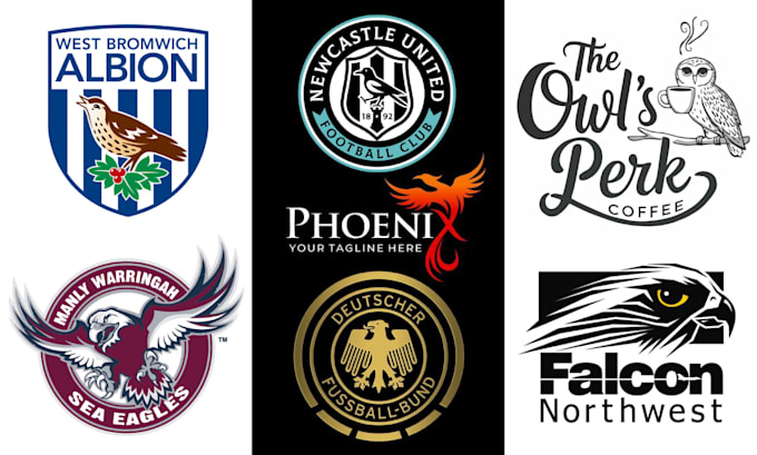 design eagle, falcon, owl or any bird logo or t shirt
