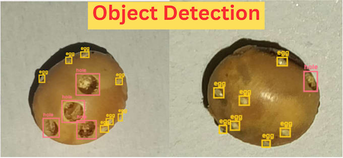 build a custom ai or computer vision web application