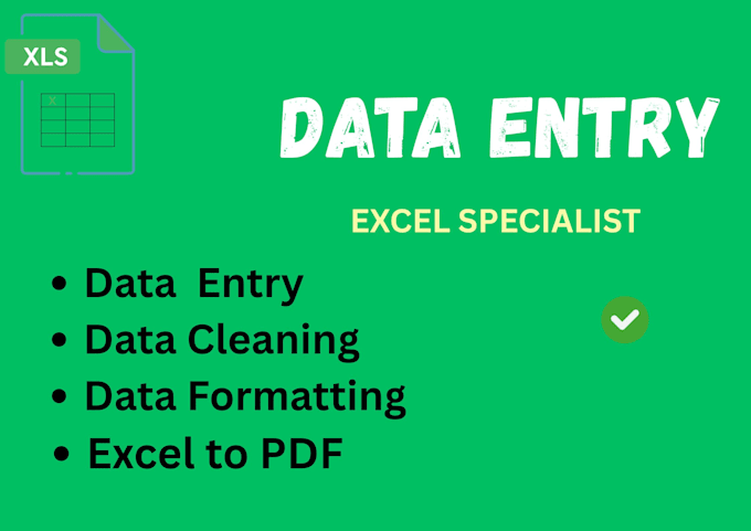 do accurate data entry, copy paste and excel work