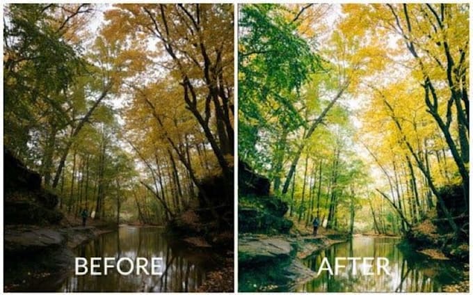 edit anything you need
