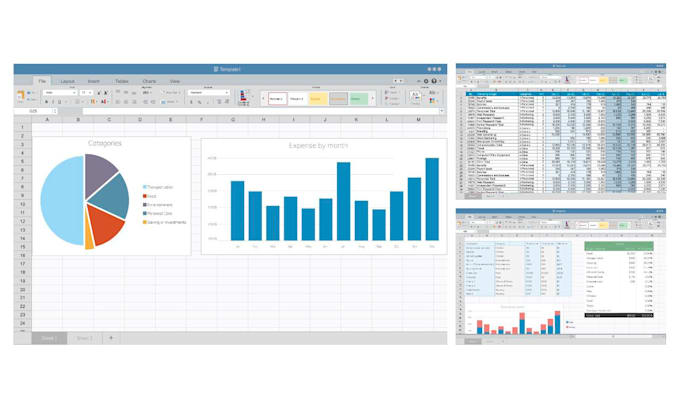excel data formating, cleaning, pivot tables and analysis