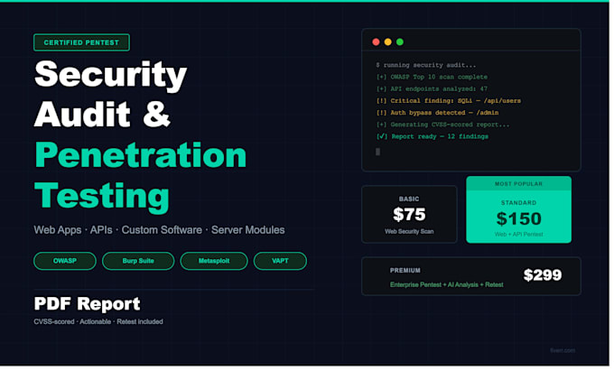perform security audit and pentest for web apps, api and custom software