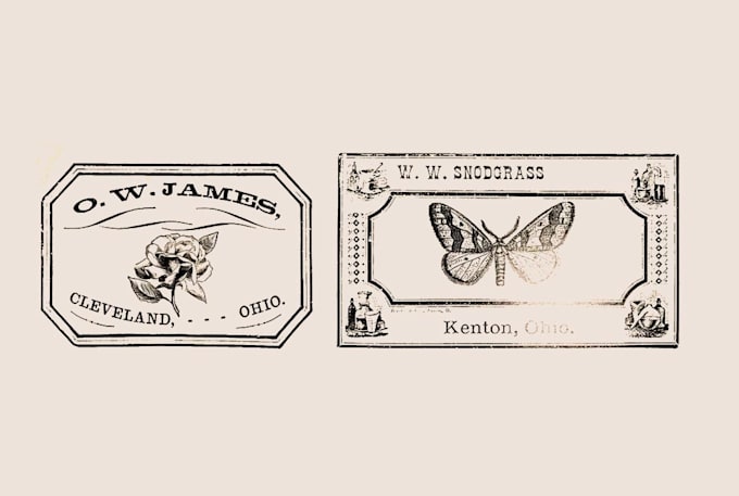 design vintage illustration label or logo