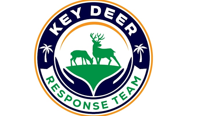 design a professional nonprofit logo