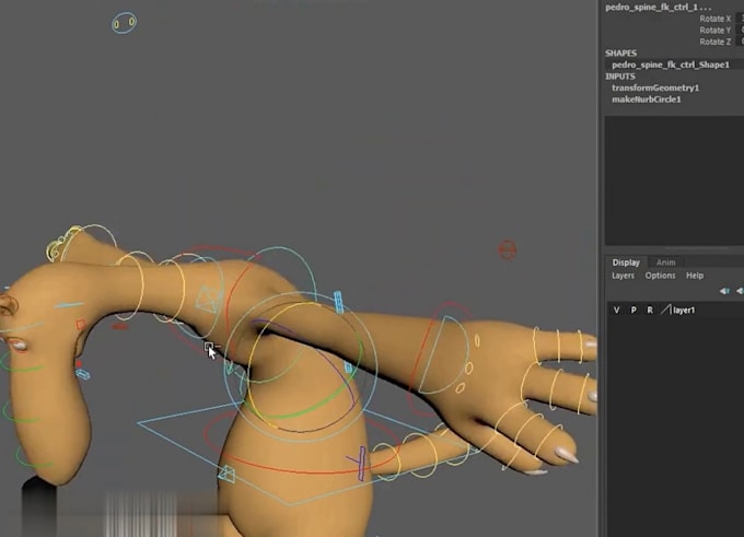 Iclone 3d hik model character setup,daz nsfw rig,full body rig,rokoko ...