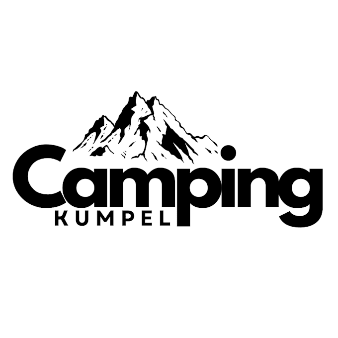 redesign and upgrade your existing logo professionally