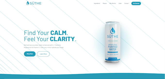 build a professional website for your business