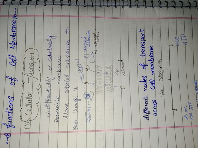 gracefully handwrite any study notes and letters