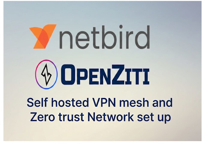 set up a self hosted netbird or openziti for secure zero trust