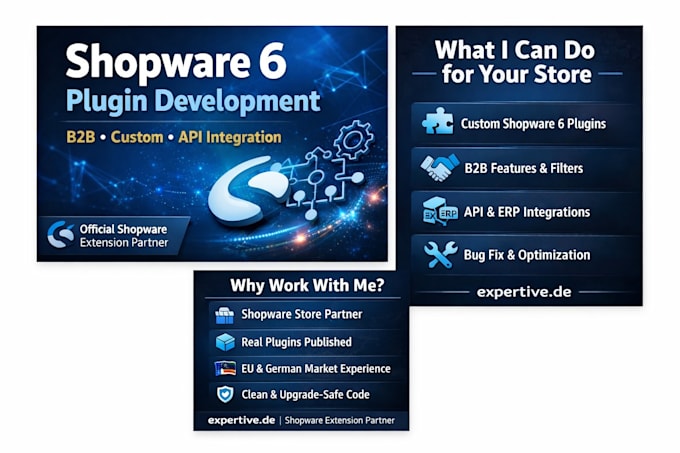 develop a professional shopware 6 plugin for b2b or custom business needs