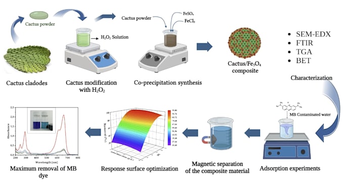 create a graphical abstract and scientific illustrations