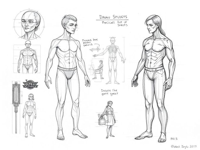 draw professional medical concept sketches