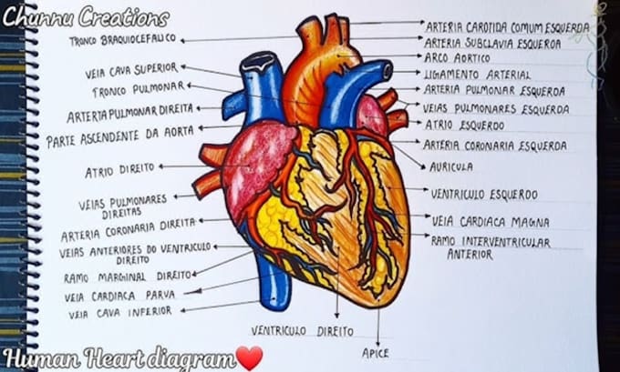help to write  biology topics and create simple study notes
