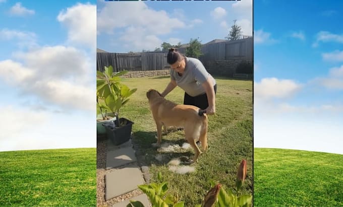 make engaging pet ugc content for your product