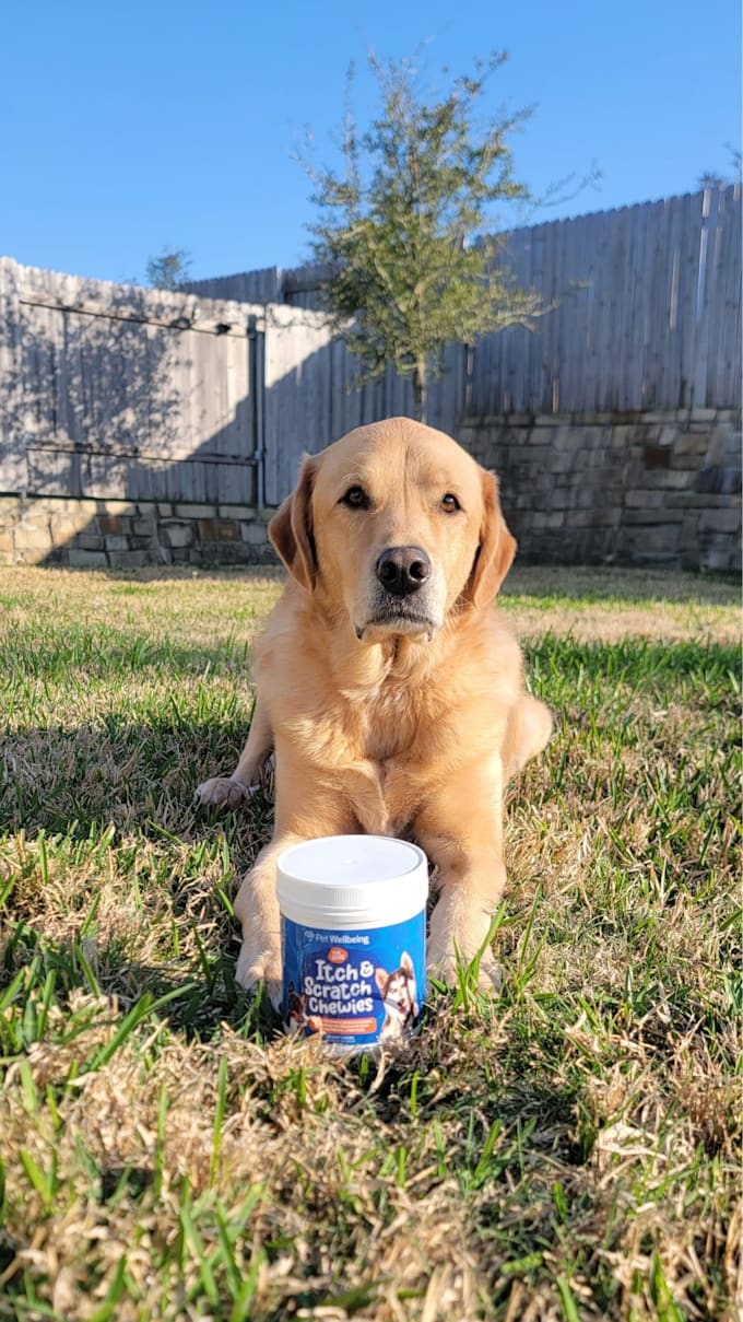 create engaging dog ugc video ads for your brand
