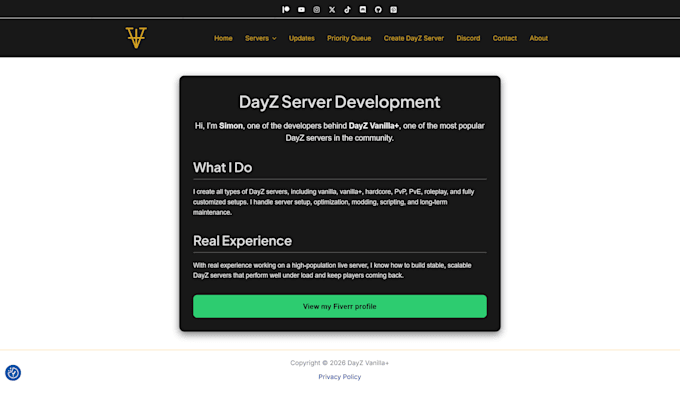 create a professional dayz server