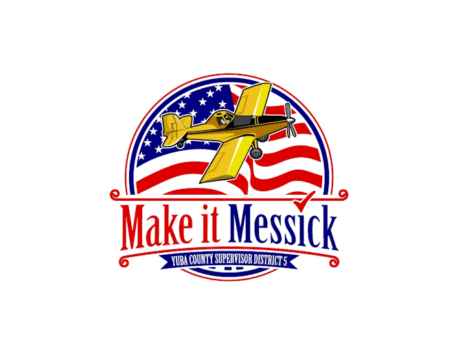 create awesome and gorgeous aviation logo design