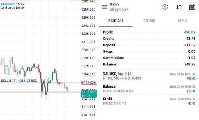 forex bot forex bot trading bot forex trading bot forex robot forex bot