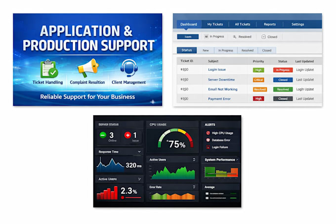 provide professional application and production support