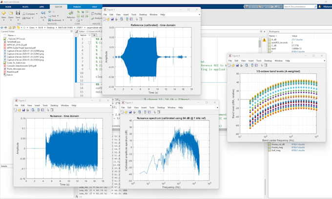 do image and signal processing using  matlab and python