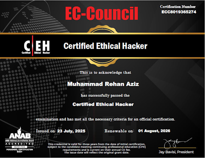 professional API security assessment and penetration testing