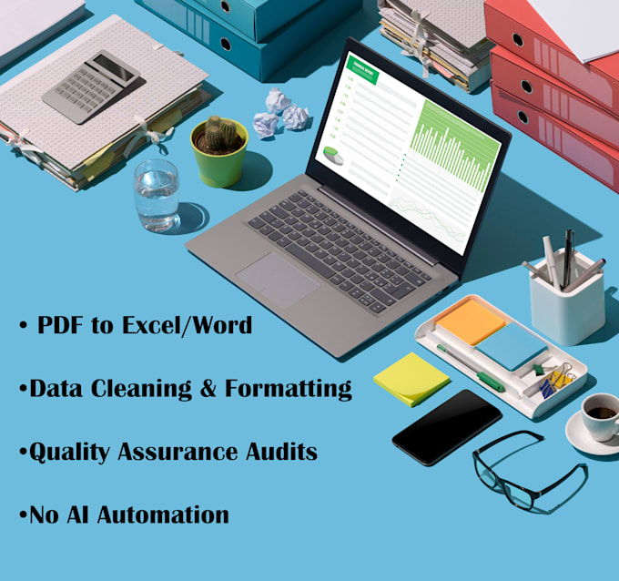 provide expert data entry, manual audit, and document organization