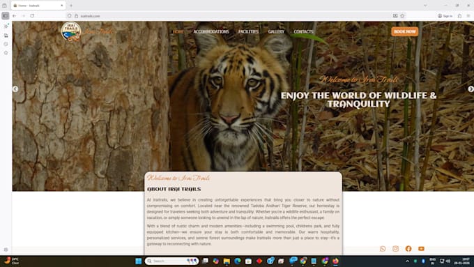 build professional wordpress website with elementor
