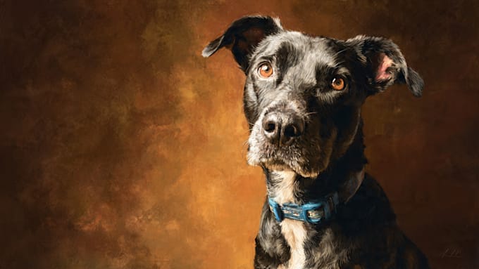 paint a portrait for your pet, any animal