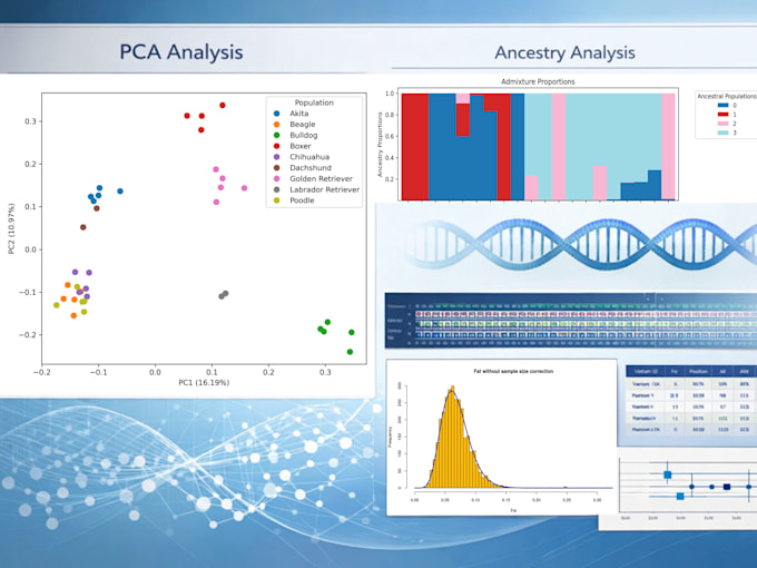 provide a complete population genetics analysis from vcf data