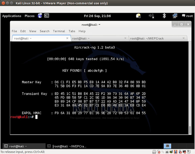 teaching wifi penetration testing with pdf book
