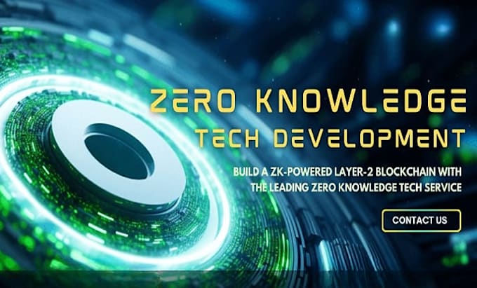 Build or audit zk circuits and zero knowledge smart contracts by ...