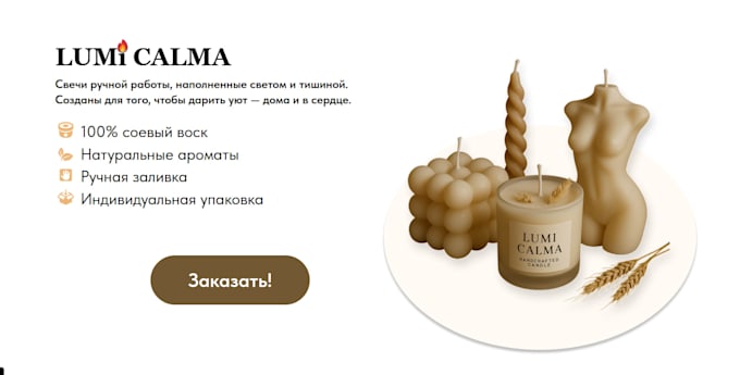 design a professional tilda website