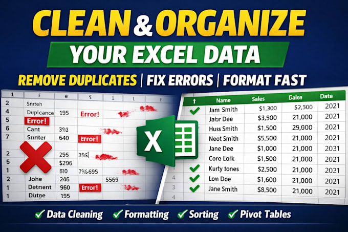 clean, format and organize excel data professionally