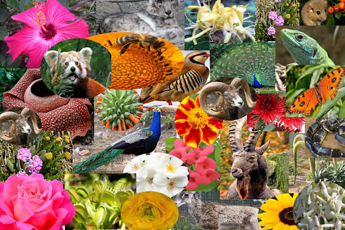 create textile prints, patterns