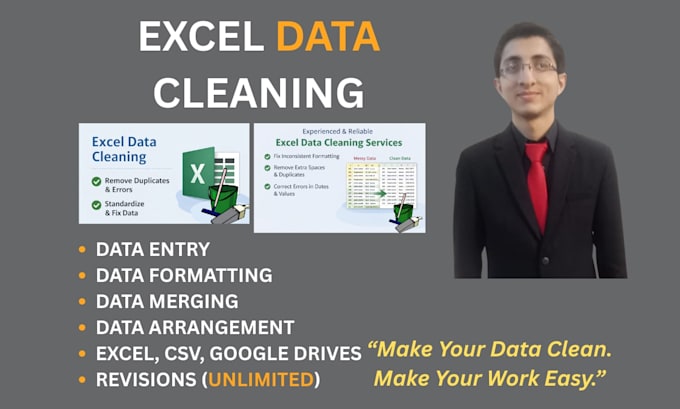do data cleaning, data formatting and data entry