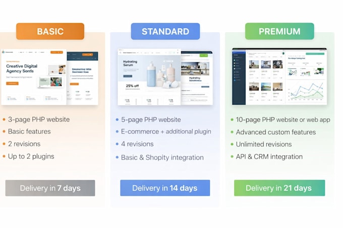 a professional website developer