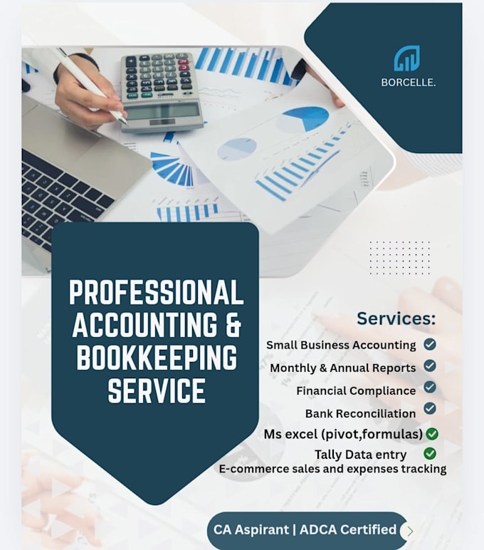 professional book keeping, excel data entry, tally