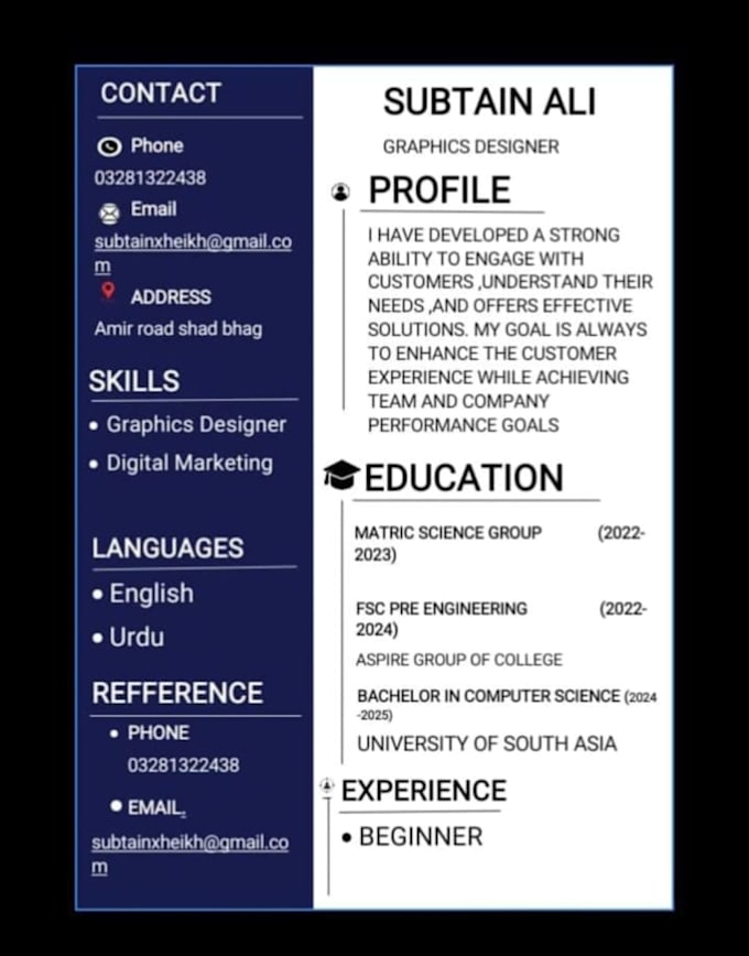 design an eyecatching professional CV