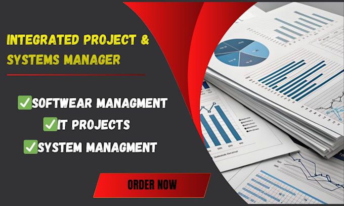 handle IT projects, software management and system management professionally