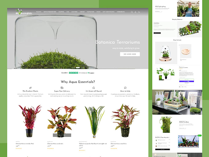 migrate your store to shopify from wix, wordpress, woocommerce, etsy