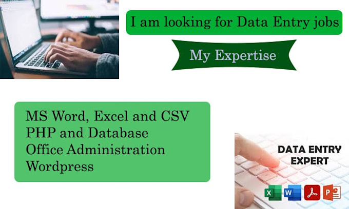 do data entry, excel, CSV, and data cleaning
