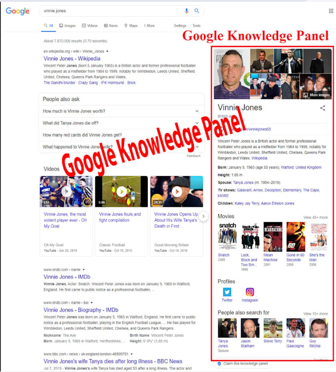 make any type of google knowledgepanel or knowledge graph for you
