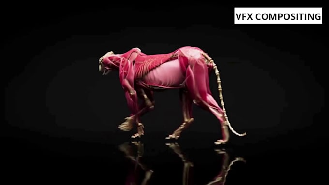 create realistic 3d animal animation, cinematic cgi and vfx