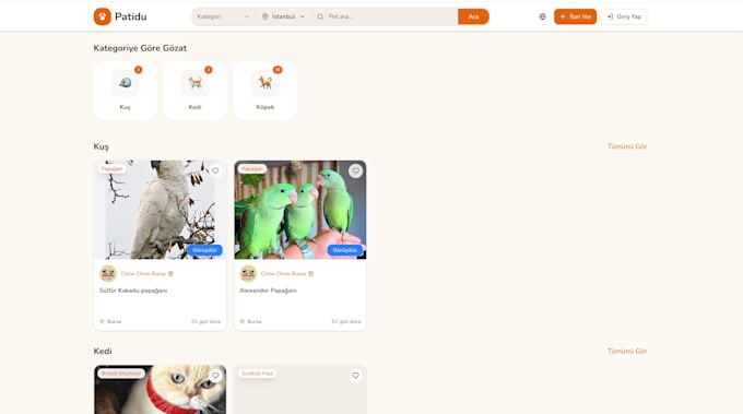 Build a fully responsive custom website for your business by ...