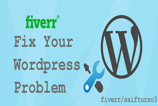 fix your wordpress errors, wordpress issues