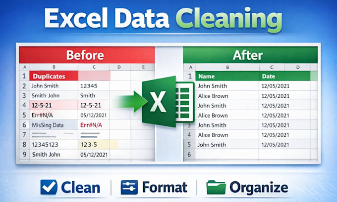 clean, format, and organize excel data professionally
