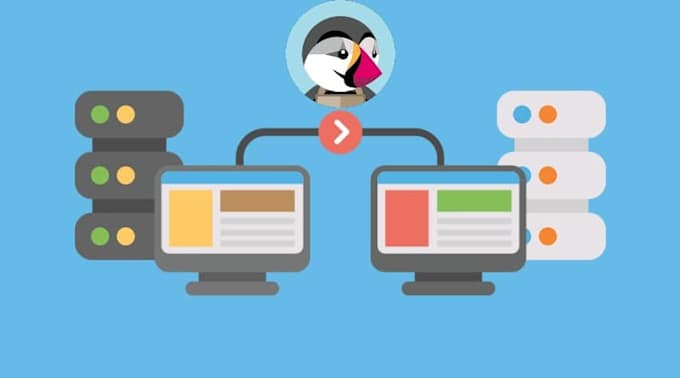 do prestashop site hosting migration and support